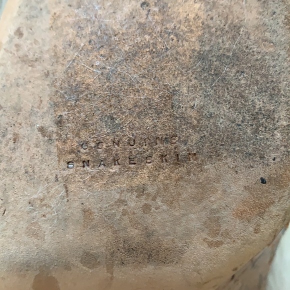 Cole Haan Collection Snakeskin Heels - Picture 10 of 10